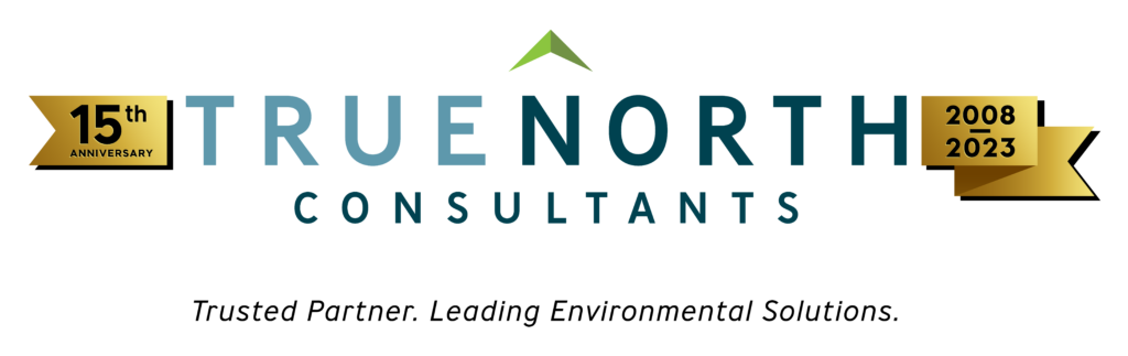 True North Consultants 15-Year Anniversary Logo