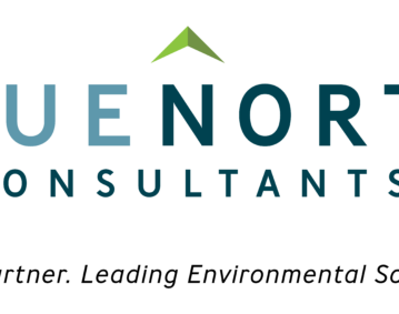 True North Consultants 15-Year Anniversary Logo