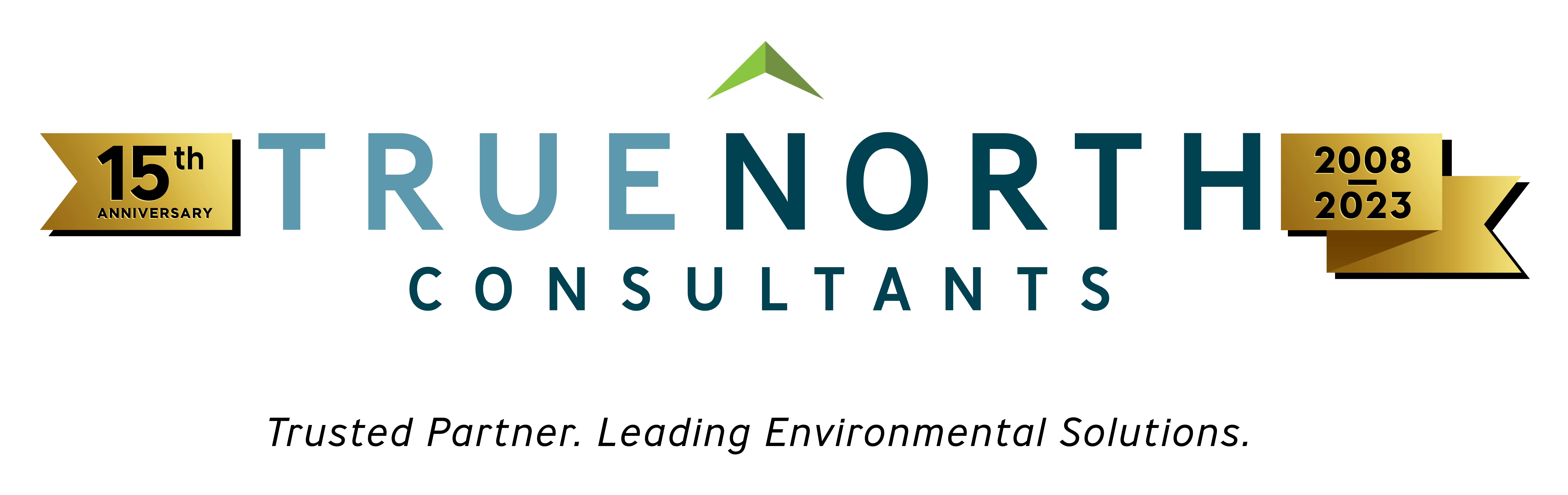 True North Consultants 15th Year Logo